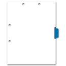 8 1/2 X 11** Side Tab Chart File Divider, X-RayTab