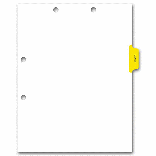 Side Tab Chart File Divider, Lab/X-Ray Tab - Office and Business Supplies Online - Ipayo.com