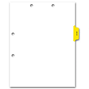 8 1/2 X 11** Side Tab Chart File Divider, Lab/X-Ray Tab