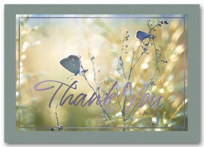 A Soft Touch Thank You Cards