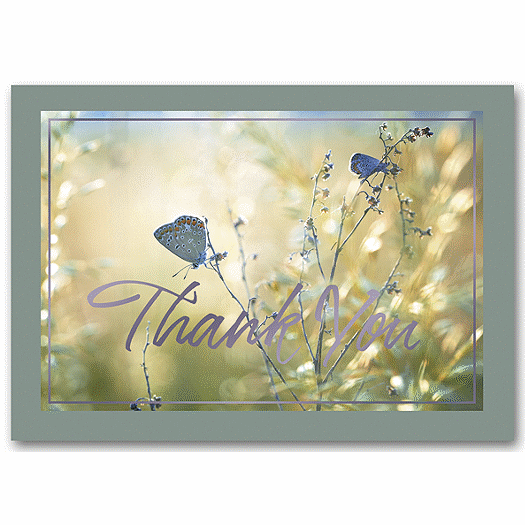 A Soft Touch Thank You Cards