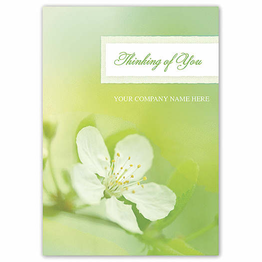 Apple Blossom Sympathy Cards