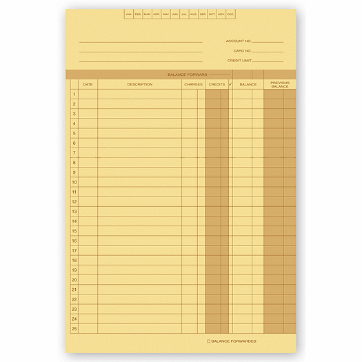 Accounts Receivable Ledgers - Office and Business Supplies Online - Ipayo.com