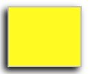 Yellow Monarch 2-Line Pricing Label