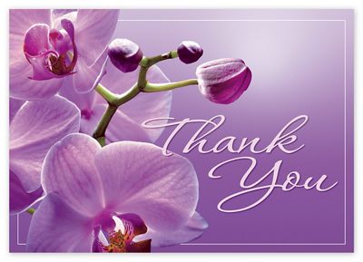 7 7/8 x 5 5/8 Stunning Thank You Cards