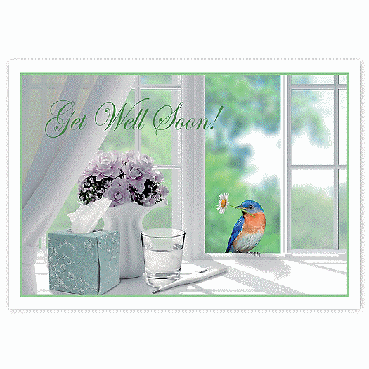 Darling Visitor Get Well Cards