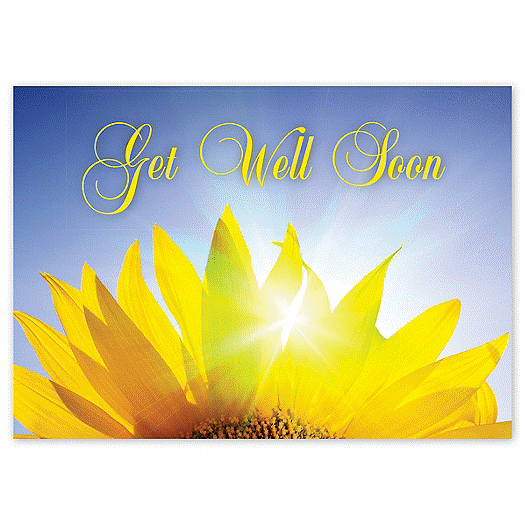 Radiant Petals Get Well Cards