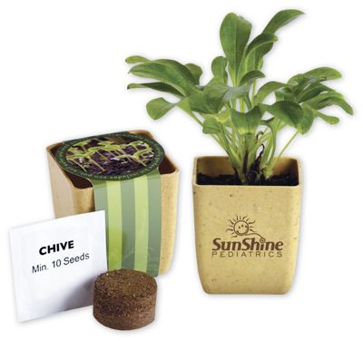 2-1/8 w x 2-1/2 h Flower Pot Set With Chive Seeds