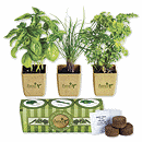 7-3/8 w x 2-1/2 h Growpot Eco-Planter Herb 3-Pack