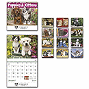 2017 Puppies & Kittens Wall Calendar