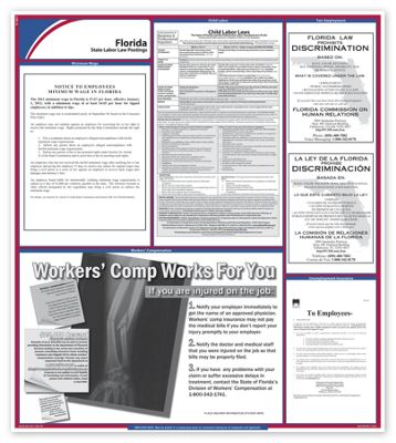 State Labor Law Poster - Office and Business Supplies Online - Ipayo.com
