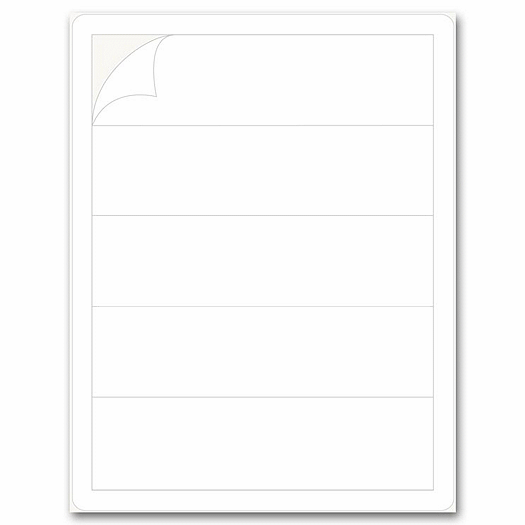 Laser Typing Strip Labels, 2