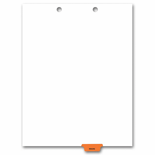 Bottom Tab Chart File Divider, Imaging Tab - Office and Business Supplies Online - Ipayo.com