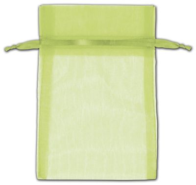 Mint Green Organza Bags, 4 x 6