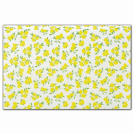Citrus Tissue Paper, 20 x 30