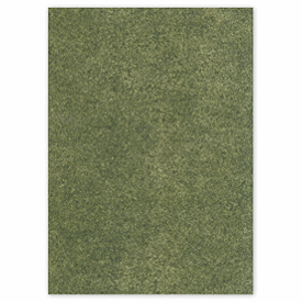 Solid Food Grade Tissue Paper, Bay Leaf, 12 x 12