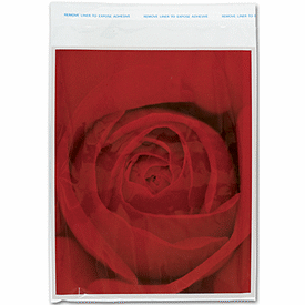 Clear Polypropylene Bags w/ Adhesive Lip, 9 x 12