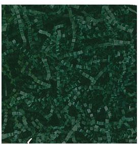 Hunter Green Crinkle Cut Fill - Gifts Baskets Wholesale Supplies Shop