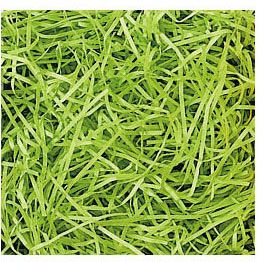 Lime Veryfine Cut Fill - Gifts Baskets Wholesale Supplies Shop