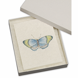 White Krome Jewelry Boxes, 6 x 5 x 1'