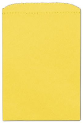 Sunbrite Paper Merchandise Bags, 6 1/4 x 9 1/4