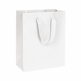 Wall Street White Manhattan Eco Euro-Shoppers, 8 x 4 x 10