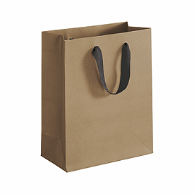 Chelsea Kraft Manhattan Eco Euro-Shoppers, 8 x 4 x 10