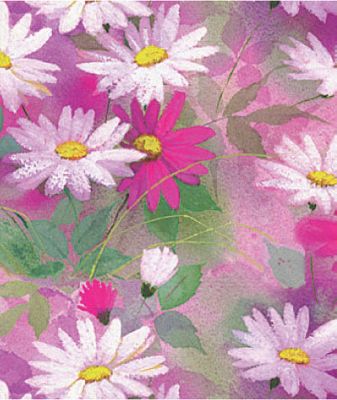 Daisy Dance Gift Wrap, 24' x 100' - Gifts Baskets Wholesale Supplies Shop