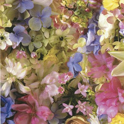 Floral Medley Gift Wrap, 24' x 100' - Gifts Baskets Wholesale Supplies Shop