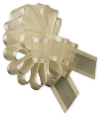Ivory Sheer Satin Edge Pull Bows, 18 Loops, 5/8' Width