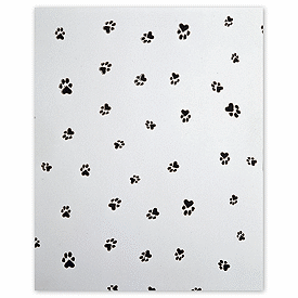 Paws Cello Bags, 5 x 3 x 11 1/2