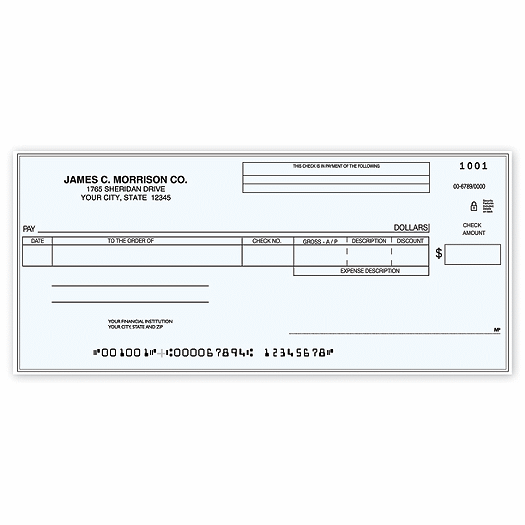 Accounts Payable One Write Check