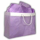 Clear Frosted Euro Shopping Bag, 16 x 6 x 12
