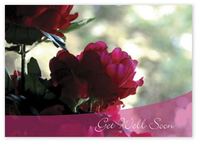 Magenta Flowers Get Well  Cards