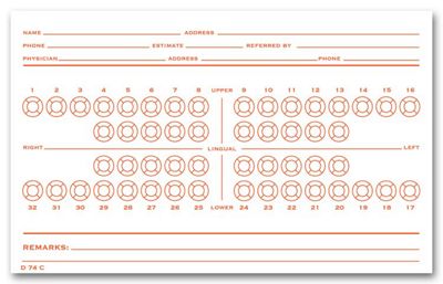 Dental Exam Card File Record, Numbered Teeth System C - Office and Business Supplies Online - Ipayo.com