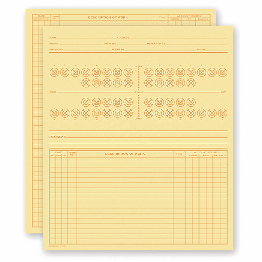 Dental Exam Record, Numbered Teeth System B, Folder Style - Office and Business Supplies Online - Ipayo.com