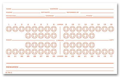 Dental Exam Card File Record, Numbered Teeth System C - Office and Business Supplies Online - Ipayo.com