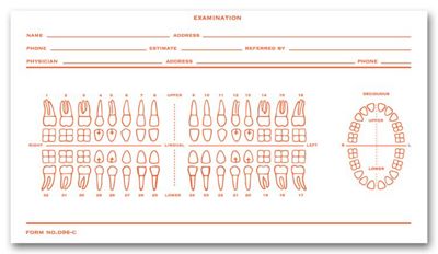 Dental Exam Record Slips, Numbered Teeth System C