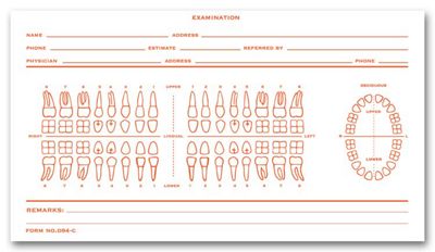 5 X 8 Dental Exam Card File Record, Numbered Teeth System C