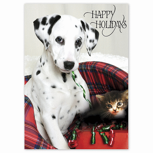 Pretty in Plaid Holiday Card - Office and Business Supplies Online - Ipayo.com