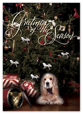 Under the Tree Holiday Card - Office and Business Supplies Online - Ipayo.com