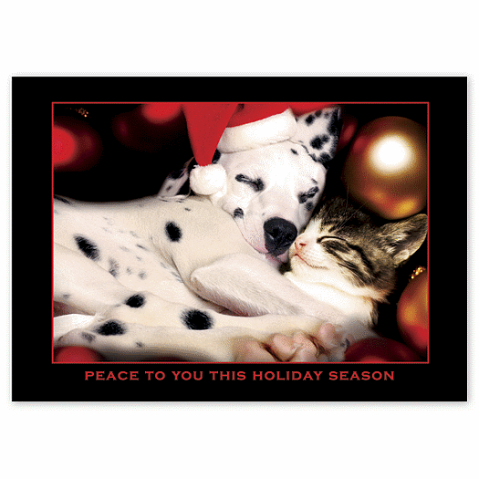 Pets at Peace Holiday Card - Office and Business Supplies Online - Ipayo.com