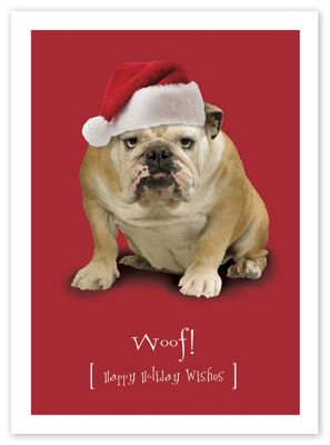 Santa Pooch Holiday Card - Office and Business Supplies Online - Ipayo.com