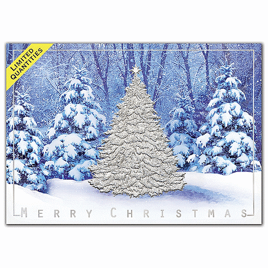 Sparkling Fir Christmas Cards