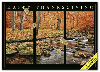 Over the River Thanksgiving Cards