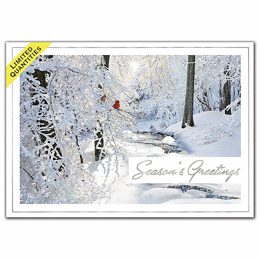 Sparkling Perch Holiday Cards