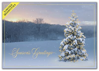 Morning Hush Holiday Cards