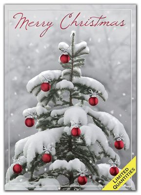 Snow Wonder Christmas Cards