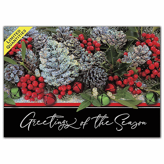 Winter Treasure Holiday Cards