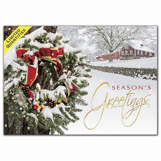 Snowy Delight Holiday Cards